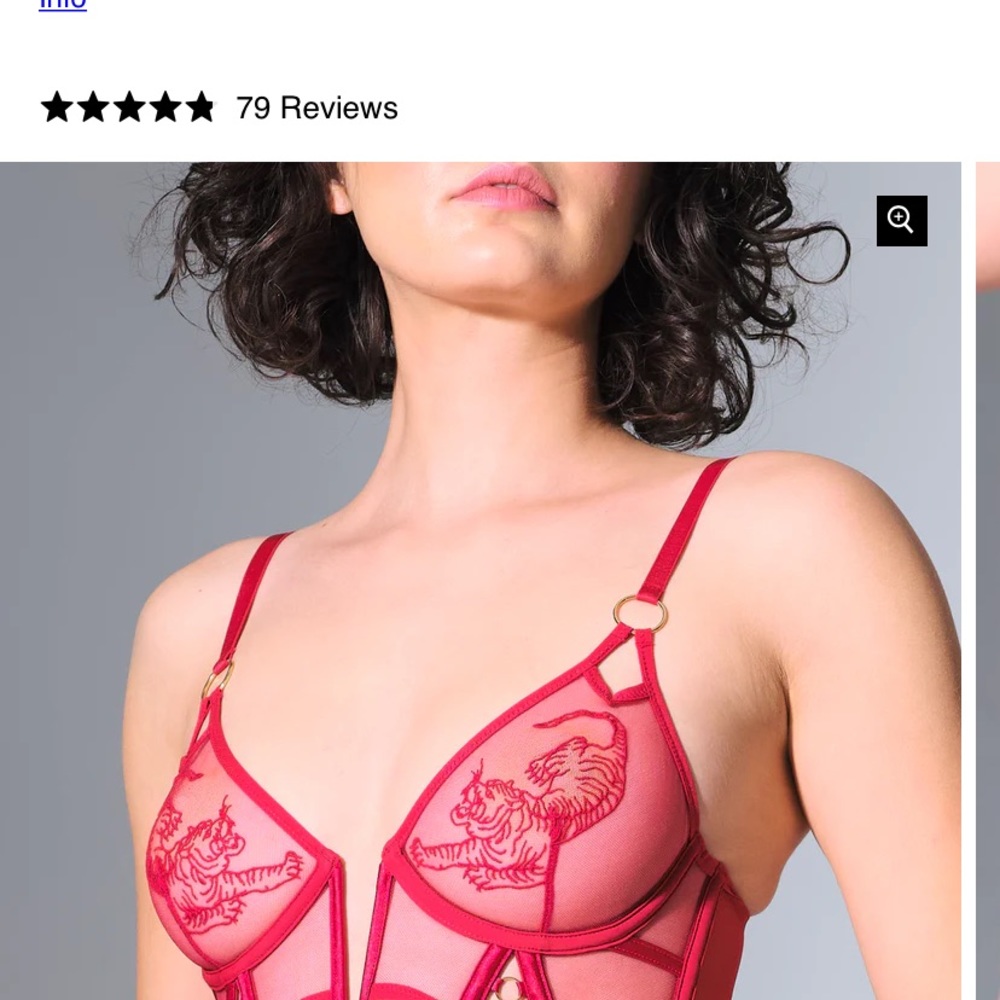 TIGRIS BRA from Thistle and Spire. Size 32C